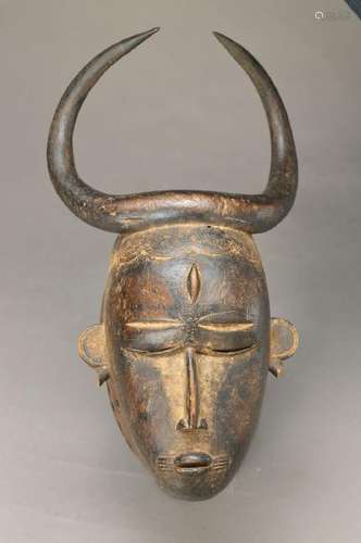 Mask, Cameroon, grasslands, first half 20th c