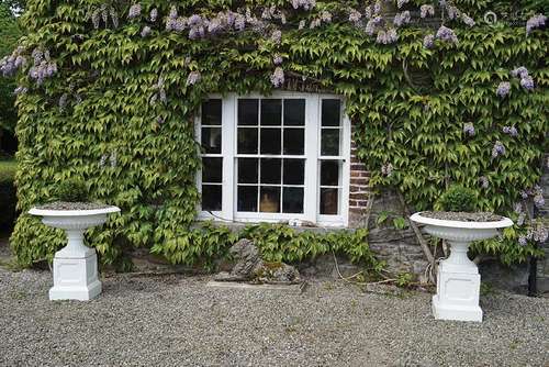 PAIR OF CAST IRON GARDEN URNS