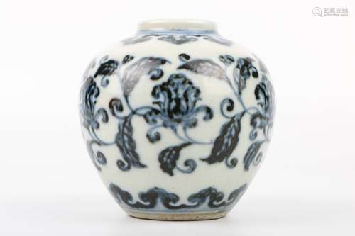 A Chinese Blue and White Porcelain Jar