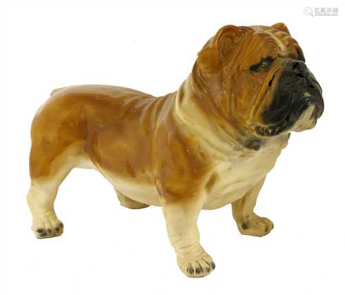 A life-sized composite figure of a standing bulldog,