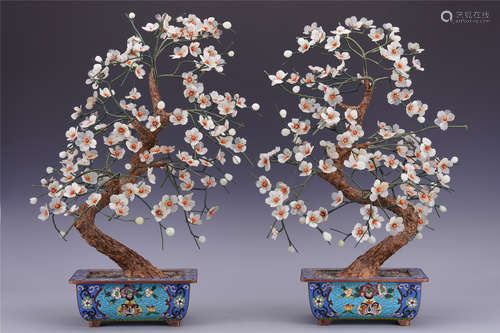 PAIR OF CHINESE JADE FLOWER BENSAI IN CLOISONNE BASIN