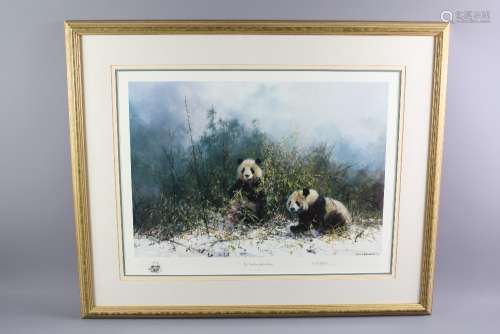 David Shepherd Wildlife Artist CBE, OBE, FGRA, FRSA Print, entitled 'Pandas of Wolong', nr 241/1500, signed in the margin with publishers blind stamp, approx 68 x 50 cms, framed and glazed
