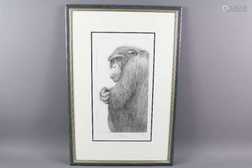Gary Hodges Wildlife Artist (1954-  ) Limited Edition Print entitled 'Chimpanzee', nr 285/850, signed in the lower margin, approx 23 x 43 cms, framed and glazed