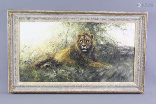 Tony Forrest Wildlife Artist - Original Oil Painting 'Lion'  signed lower right; approx 76 x 40 cms, framed