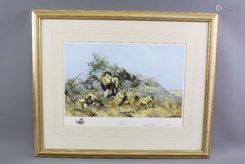 David Shepherd Wildlife Artist CBE, OBE, FGRA, FRSA Limited Edition Print, entitled 'Elephant in the Acacia' nr 131/350 signed in pencil, approx 47 x 33 cms, framed and glazed together with another entitled 'The Pride' nr 193/500, signed in the margin, approx 47 w x 33 h cms, framed and glazed