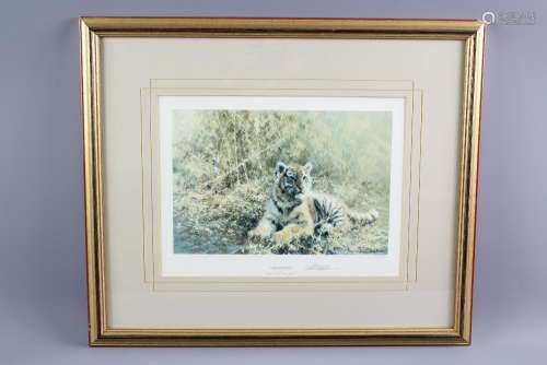 David Shepherd Wildlife Artist CBE,OBE,FGRA,FRSA Limited Edition Print, entitled 'Teenage Tiger', nr 607/1500, signed in the margin, publishers blind stamp Solomon & Whitfield, approx 34 w x 25 h cms, framed and glazed