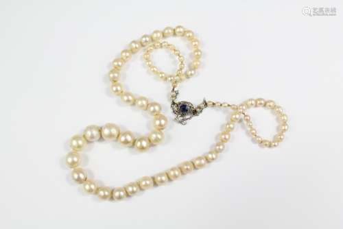 A Fine Quality Antique Row of Pearls; the graduated pearls approx 2mm x 8 mm, with a sapphire and rose-cut diamond clasp, approx 42 cms