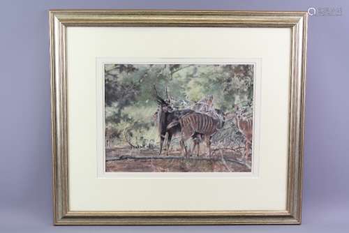 Hamish Grant (1937 - 2013) The pastel painted done in the Kruger National Park of South Africa, of a herd of  the shy N'Yala Antelope, entitled 