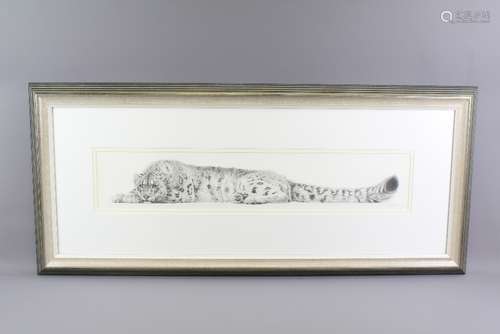 Gary Hodges (1954- ) Original Pencil Drawing entitled 'Snow Leopard' signed lower right and dated 1993, framed and glazed, approx 85 x 16 cms