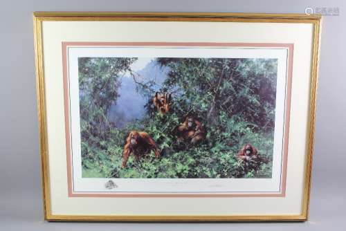 David Shepherd Wildlife Artist CBE, OBE, FGRA, FRSA Print, entitled 'Men of the Woods - Orangutan', nr 325/950, signed in the margin, with publishers blind stamp, approx 75 w x 50 h cms, framed and glazed