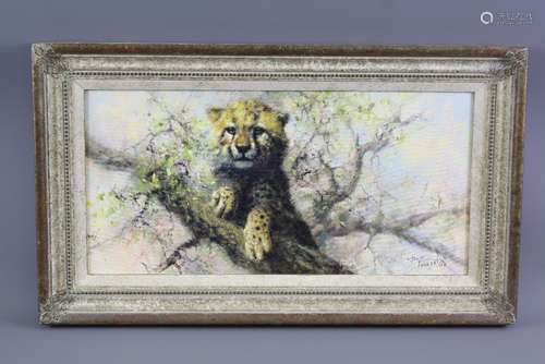 Tony Forrest Wildlife Artist - Original Oil on Canvas 'Cheetah' signed lower right, approx 25 x 50 cms, framed