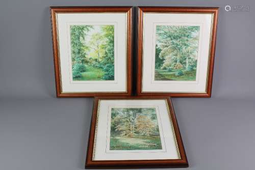Gez Cox Original Watercolours - Three Woodland Scenes, approx 20 x 27 cms, framed and glazed