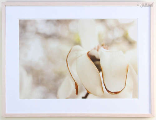 Print of orchid, 'Observance', signed indistinctly L/R, dated 2010, 15