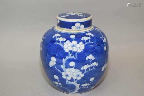 19th C. Chinese Blue and White Plum Jar