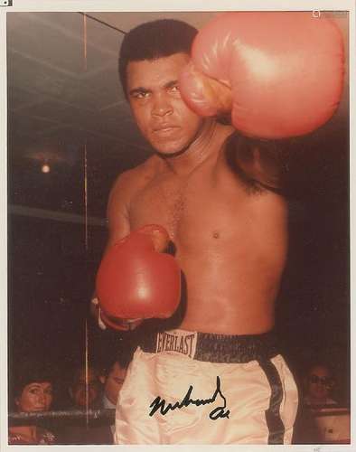 Muhammad Ali