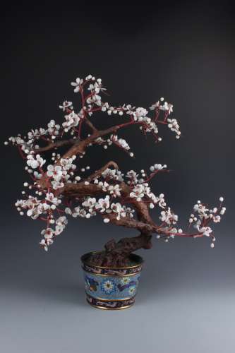 A Chinese Cloisonne  Bonsai with Multi-color precious Stones