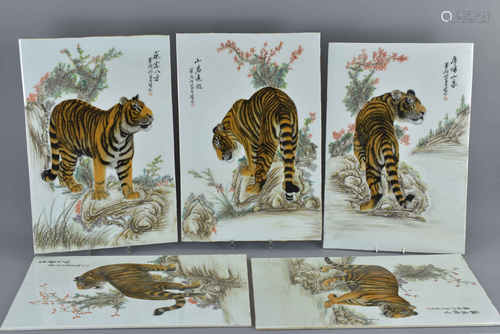 A set of five Chinese 1950/60's porcelain plaques painted with tigers and calligraphy. 52.5cm x 35.5