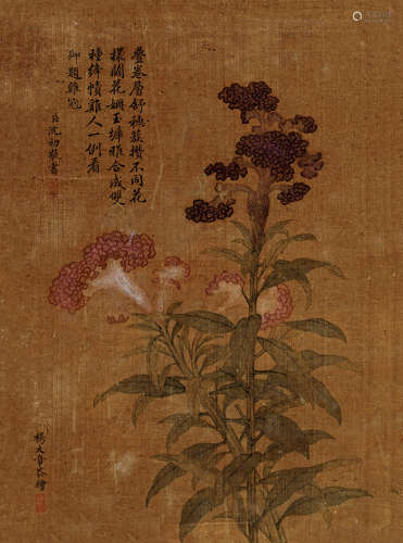 杨大章(清)花卉 设色绢本 立轴