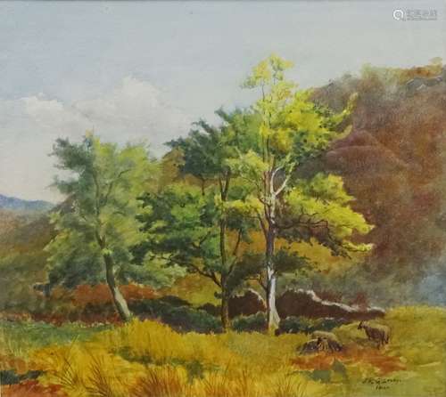 'Rombalds Moor - Skipton',