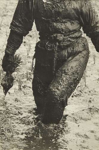 Hiroshi Hamaya, Japanese 1915-1999- 'A Woman Planting Rice Toyama, Japan,' 1957; vintage gelatin