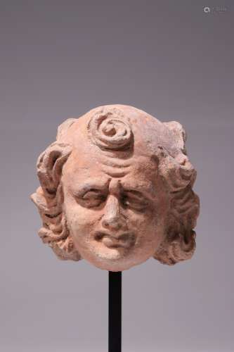 HEAD OF A YOUTHFUL NOBLE MAN