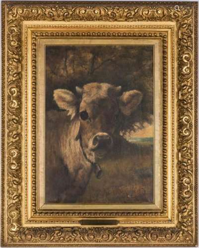 Atherton Furlong O/C Cow Portrait, Young Tom