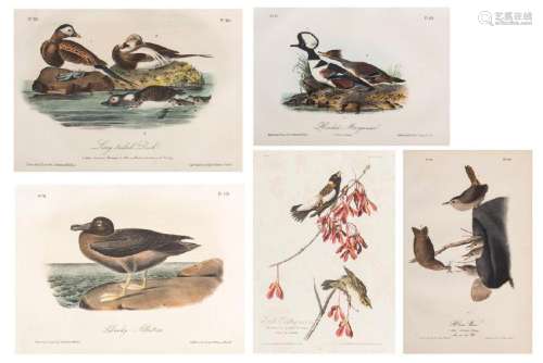 1 Havell Audubon Folio & 4 Octavos, 5 items