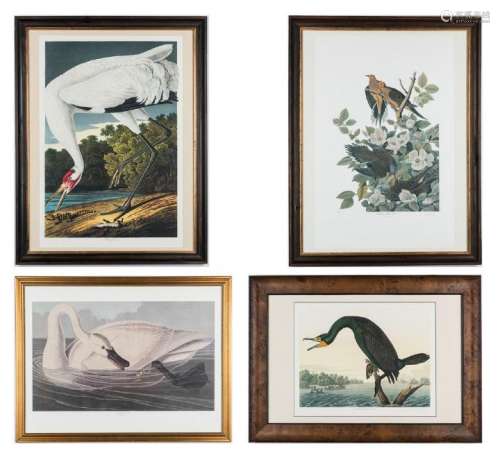 4 Prints after Audubon, Loates
