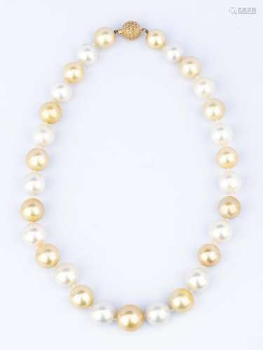 White, Lt. Golden South Sea Pearls w/ Dia. Clasp