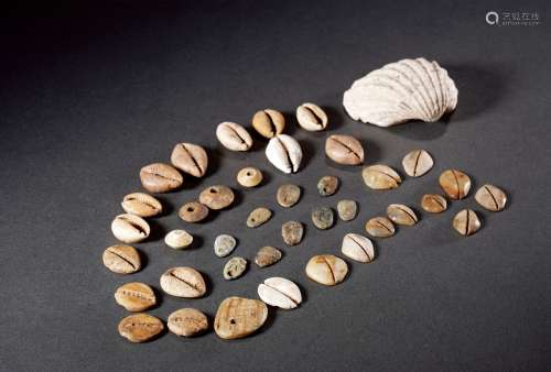 商-战国·贝币一组四十枚 SHANG DYNASTY-WARRING STATES PERIOD  FORTY SEASHELL COINS