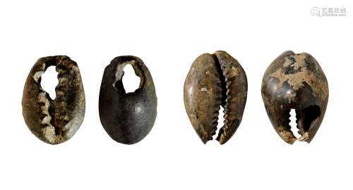 商·仿生青铜贝、贝币一组二枚 说明：商周原始仿生青铜贝，创见品，是青铜贝的鼻祖。