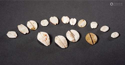 商·云母贝、蚌贝一组十五枚 SHANG DYNASTY  FIFTEEN SEASHELL COINS