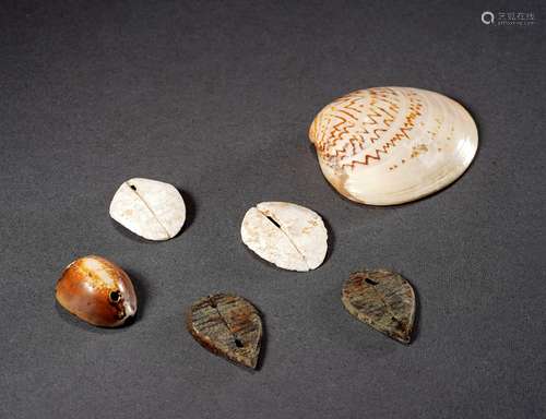 西周-战国·大型贝币、蚌贝、鲁贝一组六枚 WESTERN ZHOU DYNASTY-WARRING STATES PERIOD  SIX SEASHELL COINS