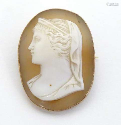 A Victorian shell carved cameo brooch depicting a