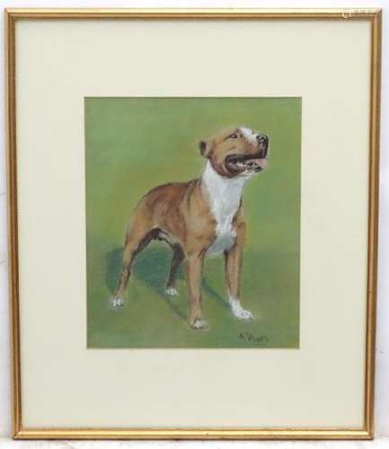 A Wardle XX, Canine School, Pastels, A brindle