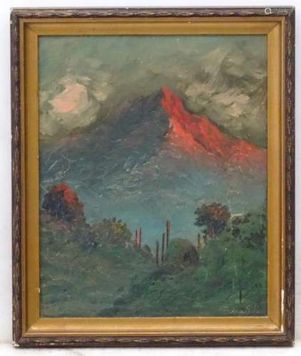 Indistinctly signed Chilean , South America School ,