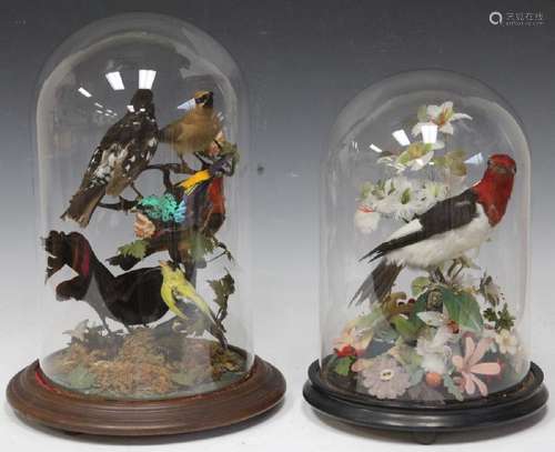 LOT OF (2) 19TH C. GLASS DOMES WITH BIRD DECOR