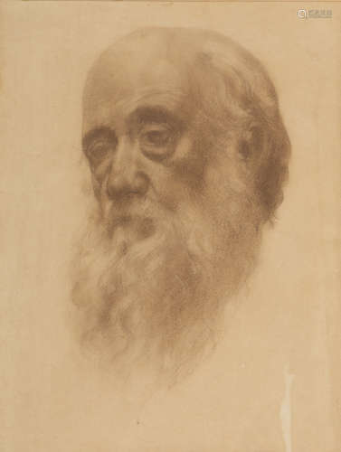 PAINTER EARLY 20TH CENTURY Head of old man Red pencil on cardboard, cm. 32 x 24 Attribution to 'A.