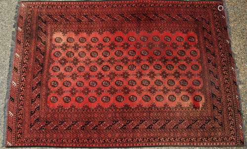 An Afghan carpet, the madder field with rows of octagonal and secondary guls,