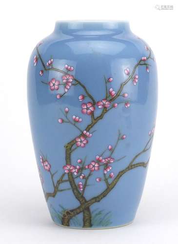 Chinese porcelain vase, hand painted in the famille rose palette with branches of blossoming