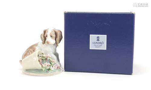 Lladro dog It Wasn't Me with box, numbered 7672, 10cm high : For Further Condition Reports and