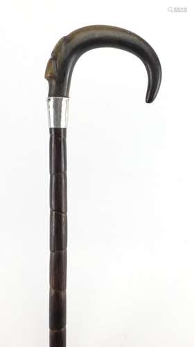 Horn handled bamboo walking stick with silver collar, the handle possibly rhinoceros horn 86cm in