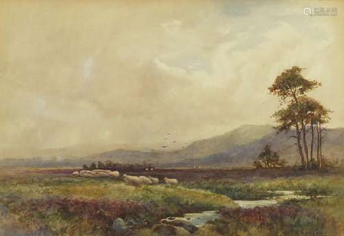 F Mawson - Welsh mountain landscape with a flock of sheep, 19th century watercolour, mounted and