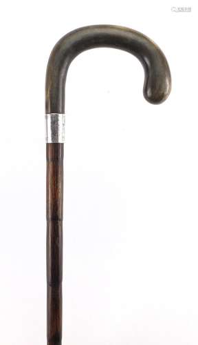 Horn handled bamboo walking stick with silver collar possibly rhinoceros horn, the silver collar