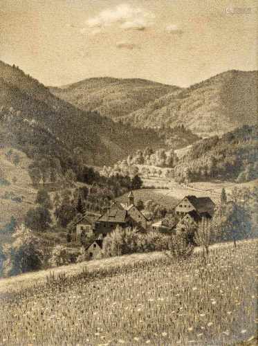 Schleith, Ernst1871 Wieslet/Schopfheim - 1940 ebd. Bleistiftzeichnung. Blick über eine Blumenwiese
