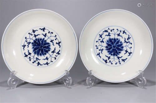 PAIR OF CHINESE PORCELAIN BLUE AND WHITE FLOWER PLATES