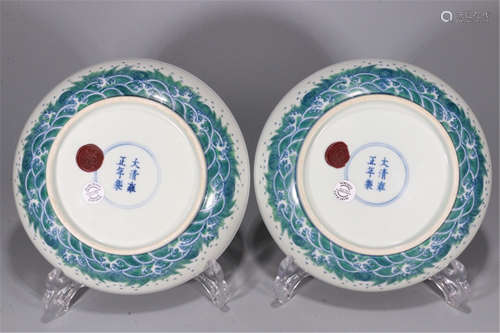 PAIR OF CHINESE PORCELAIN DOUCAI DRAGON PHOENIX PLATES