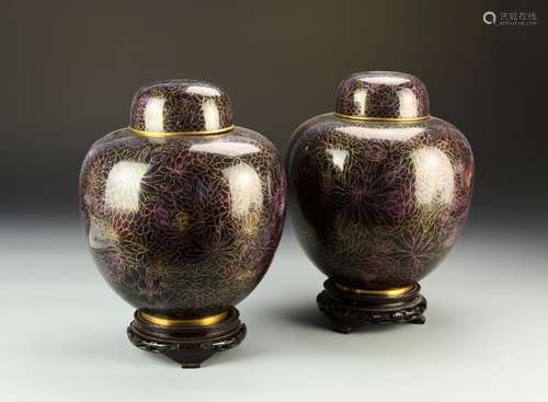 Pair of Chinese Cloisonne Jars