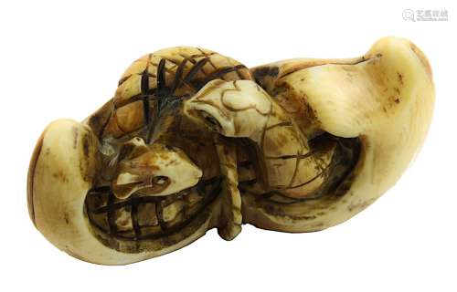 Netsuke aus Elfenbein, Schlange und Ratte in Nusschale, Japan Ende 19. Jh., vollplastisch aus