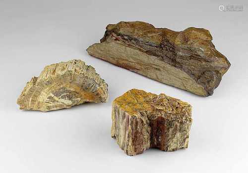 3 Stücke versteinertes Holz, Fundort nicht bekannt, Holzstruktur gut zu erkennen, Größe zwischen